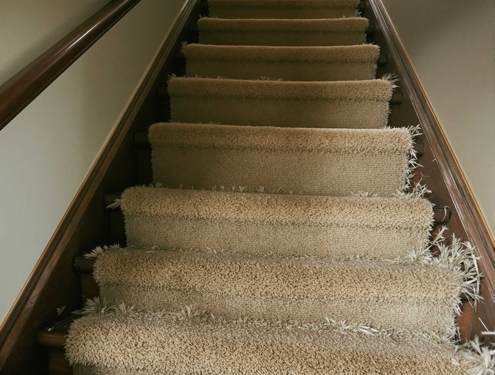 Before Oak Treads + Painted Risers in Oceanside