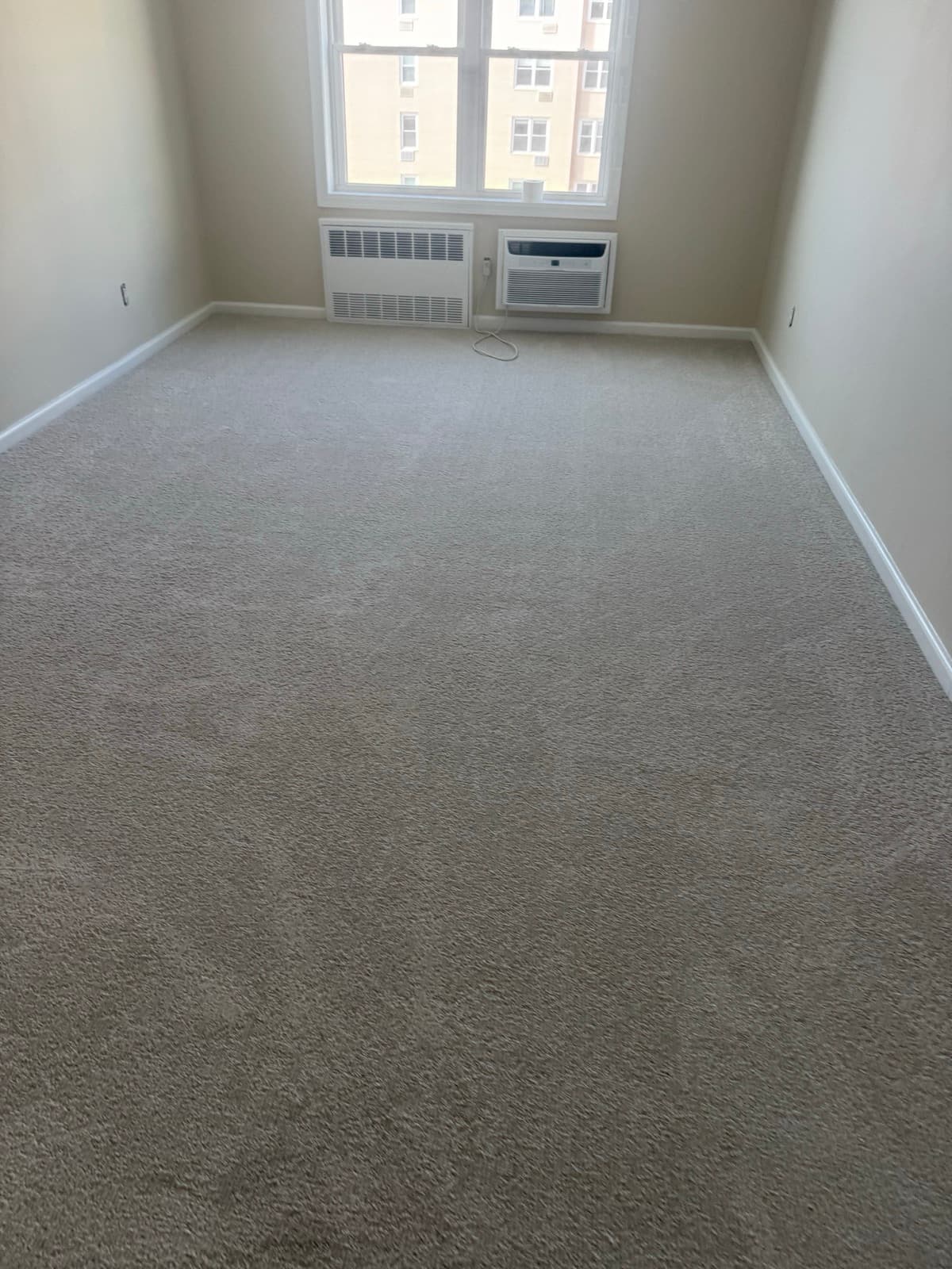 Carpet · Plush Neutral