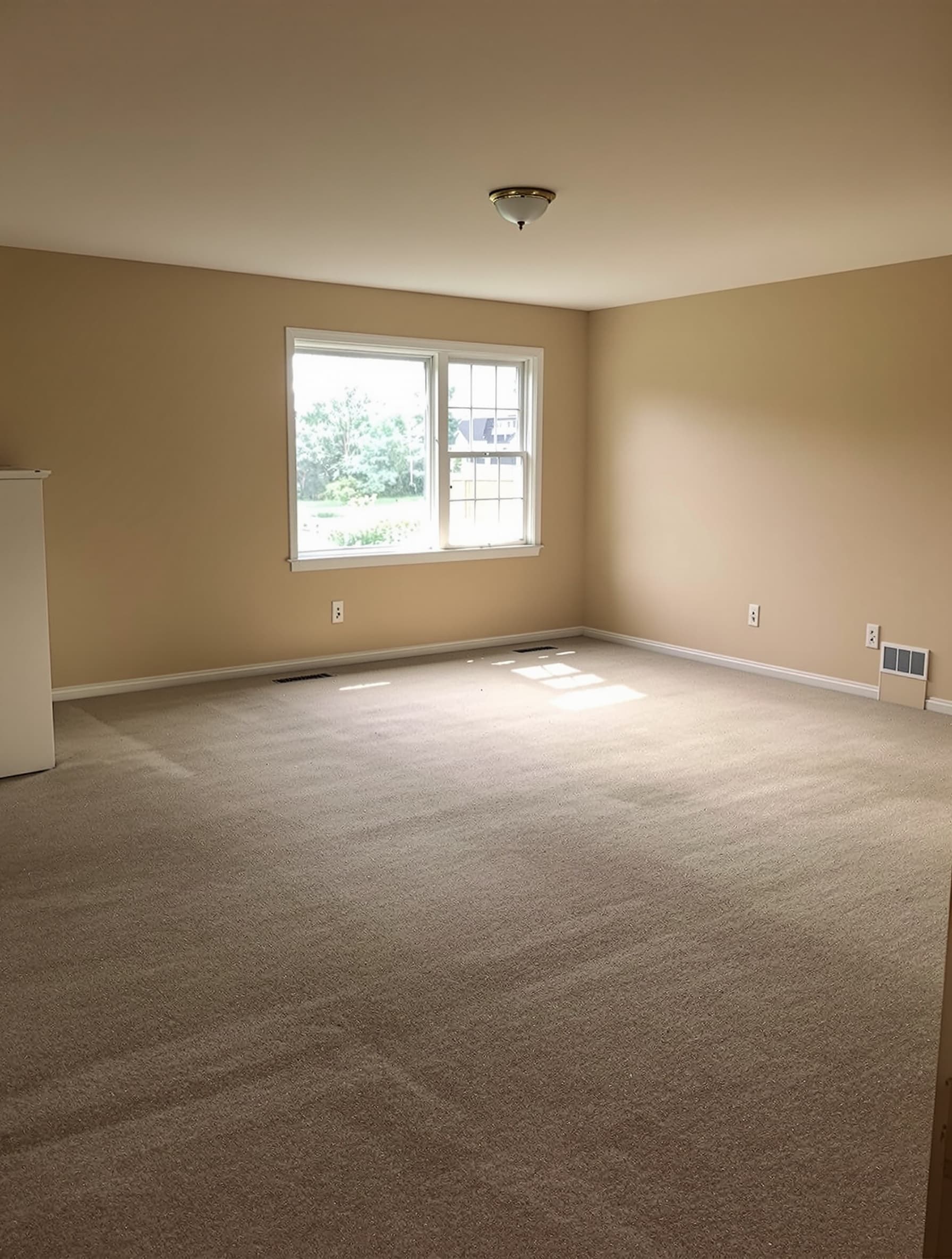Dated beige wall-to-wall carpet in a Long Island living room